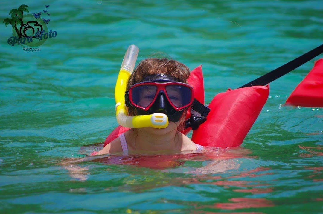 Slide Image