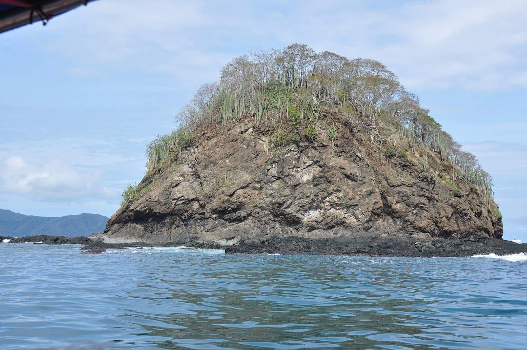 Slide Image